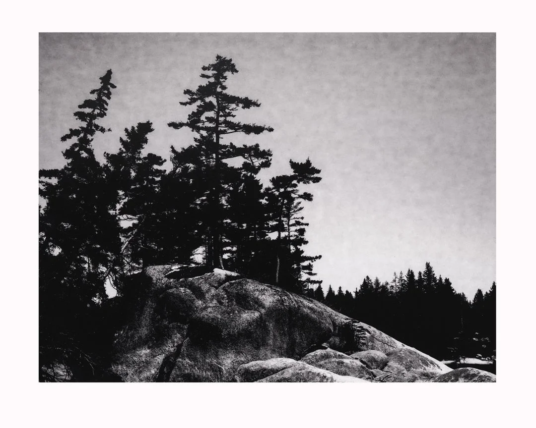 BW- gloves - 22 of 103-Edit-3.jpg