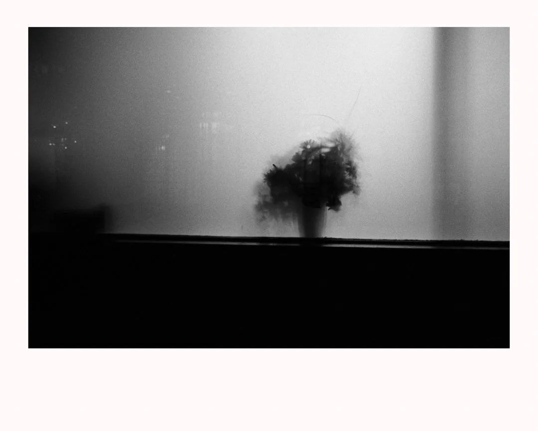 MS-20173011 4r-Edit.jpg