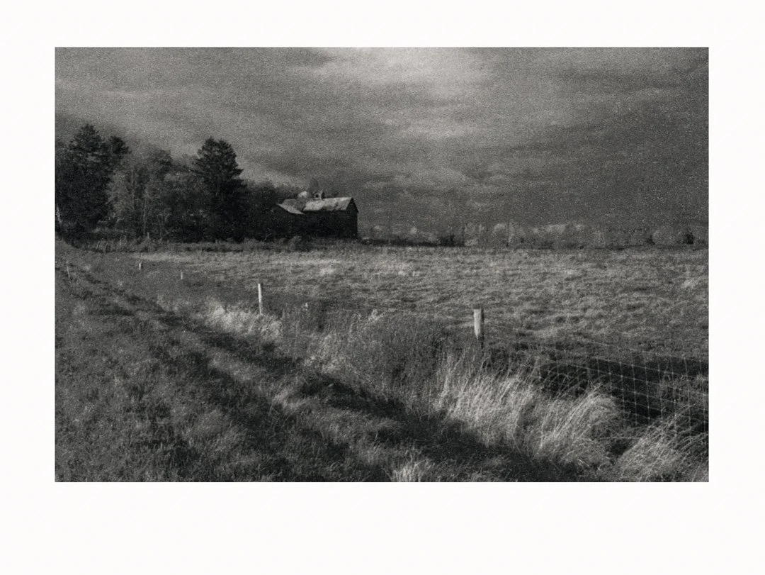 printsA  (40)-Edit.jpg