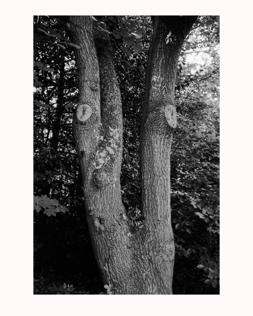 MS-20182606 4r-Edit.jpg