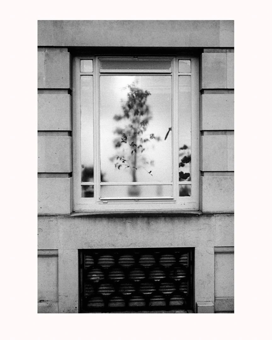 MS-20151912 1r-Edit.jpg