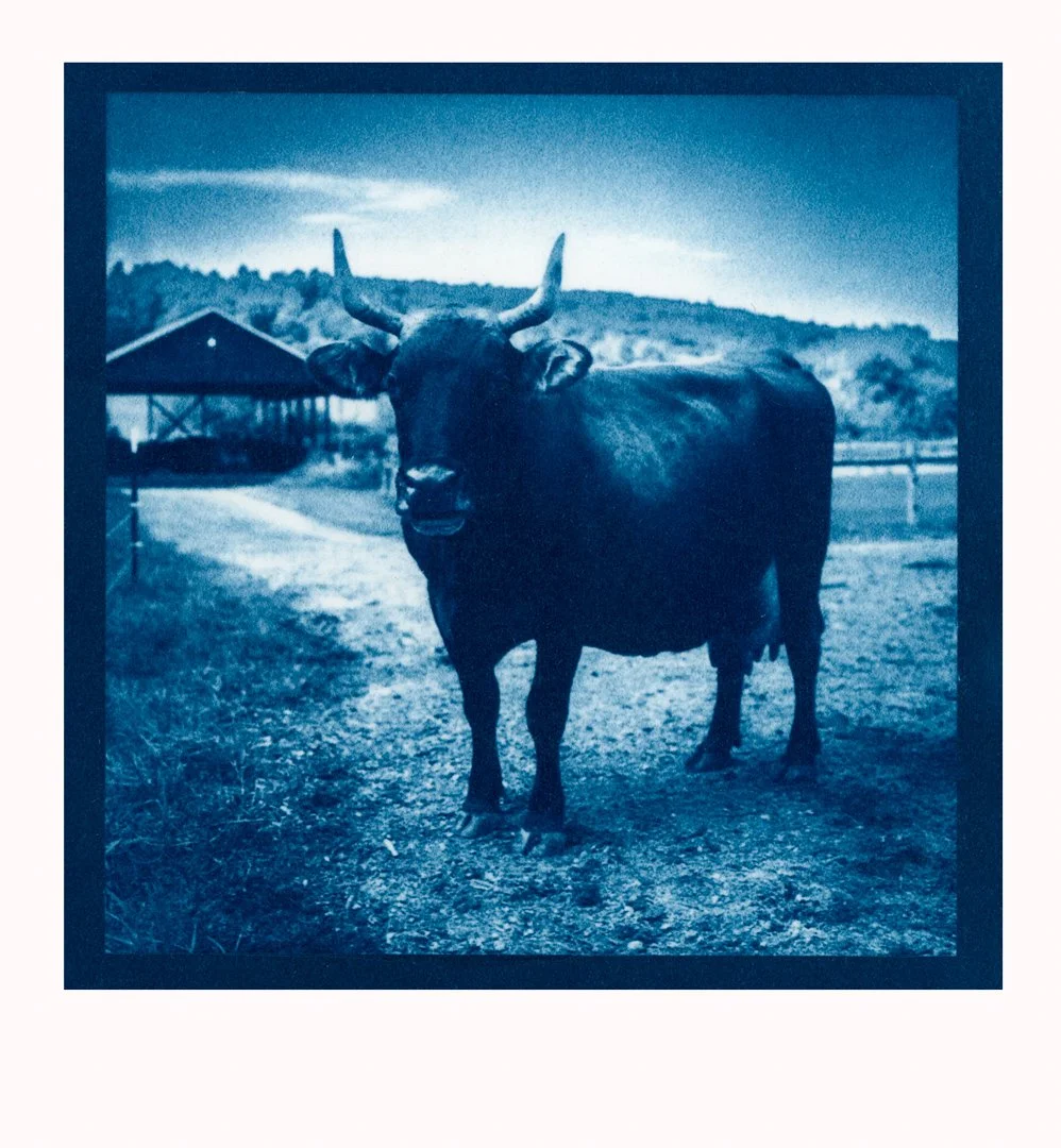 printsB (62)-Edit.jpg