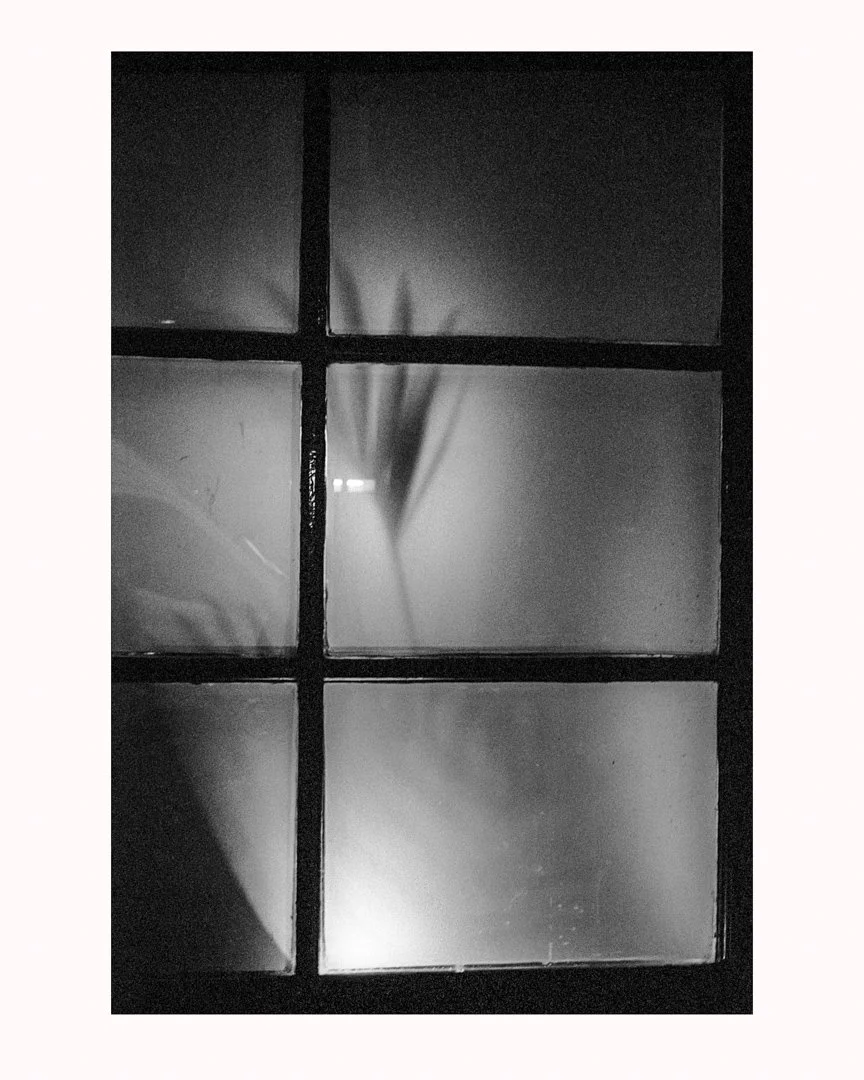 MS-20170205 4r-Edit.jpg