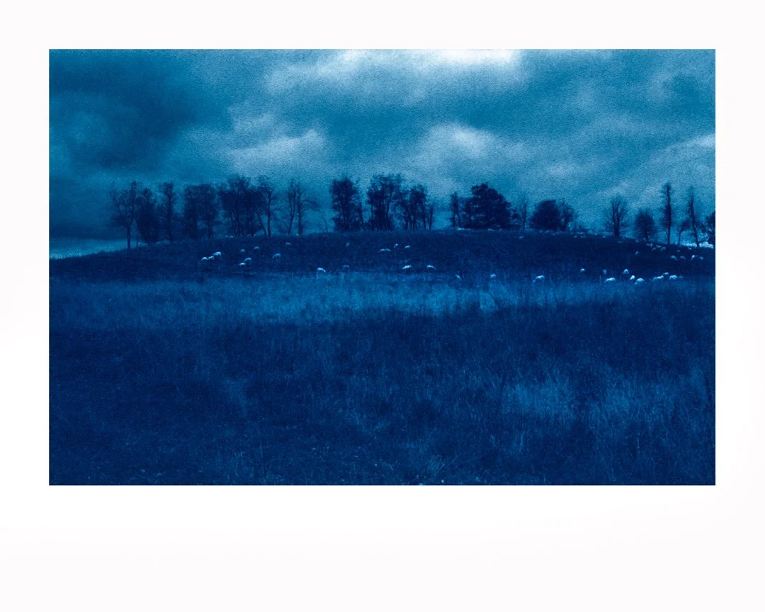 printsA  (11)-Edit.jpg
