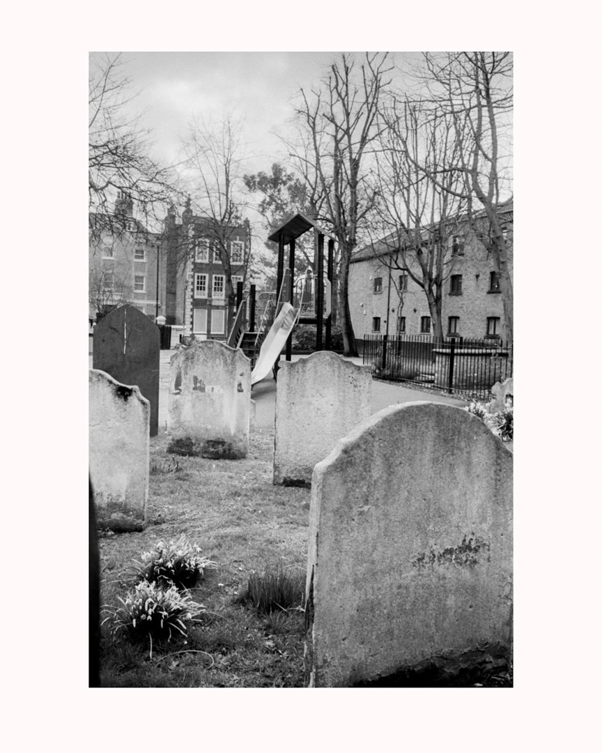 MS-20161603 4-Edit.jpg