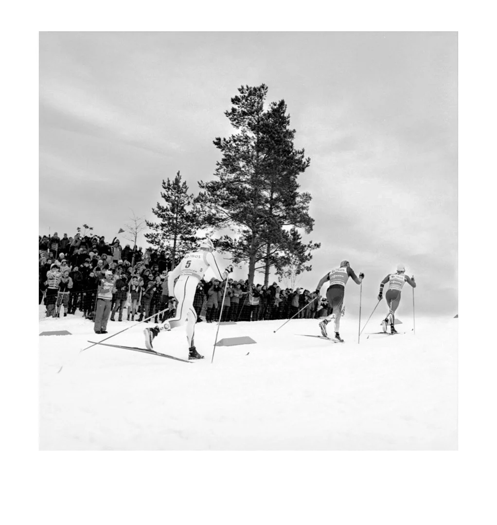 MS-20140803 16-Edit-2.jpg