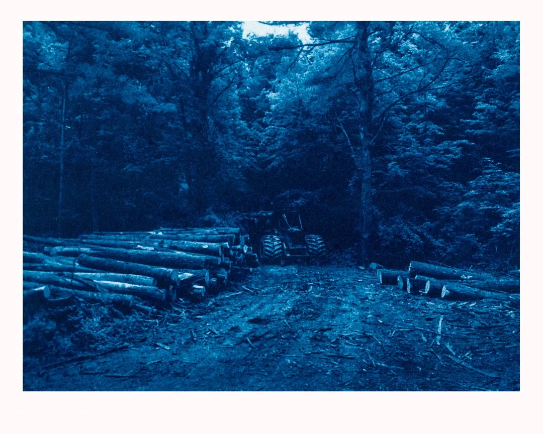 printsA  (78)-Edit.jpg