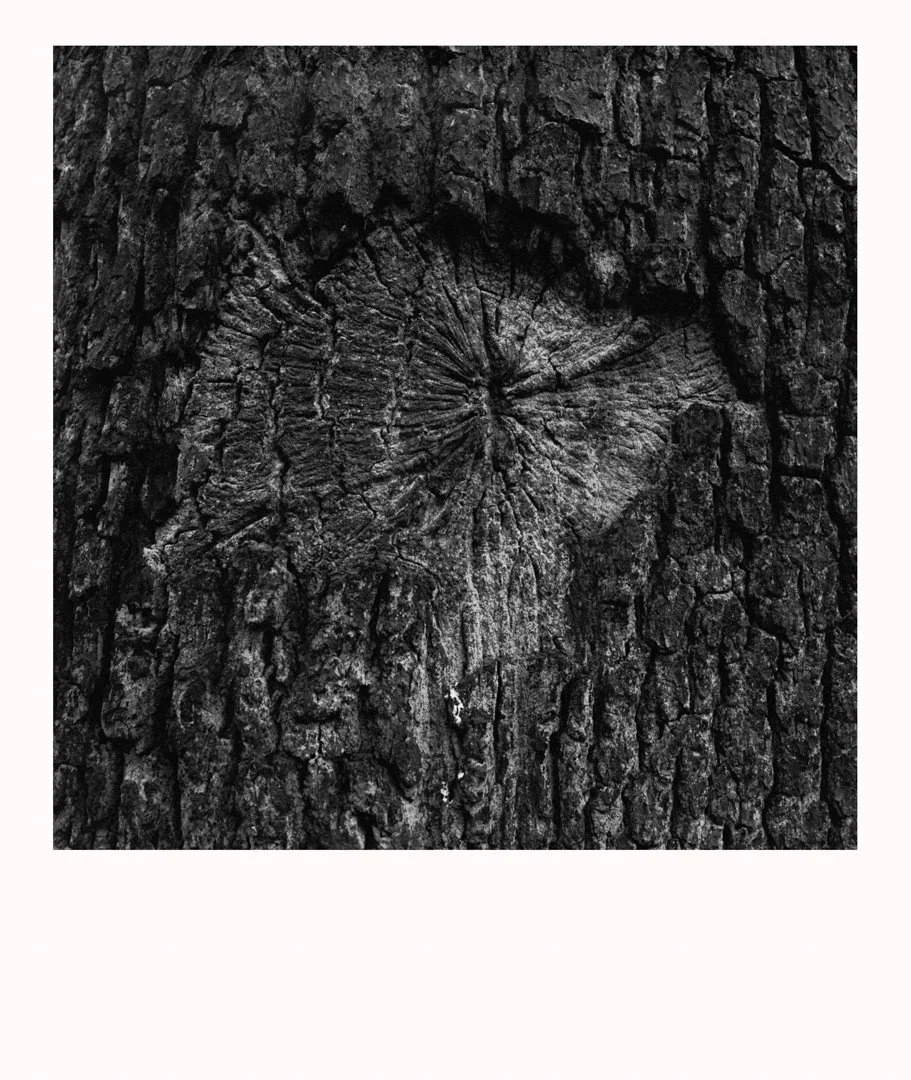 MS-20180403 2r-Edit.jpg