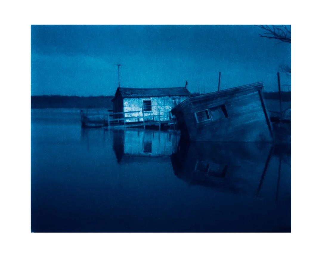 cyanoscans (6)-Edit.jpg