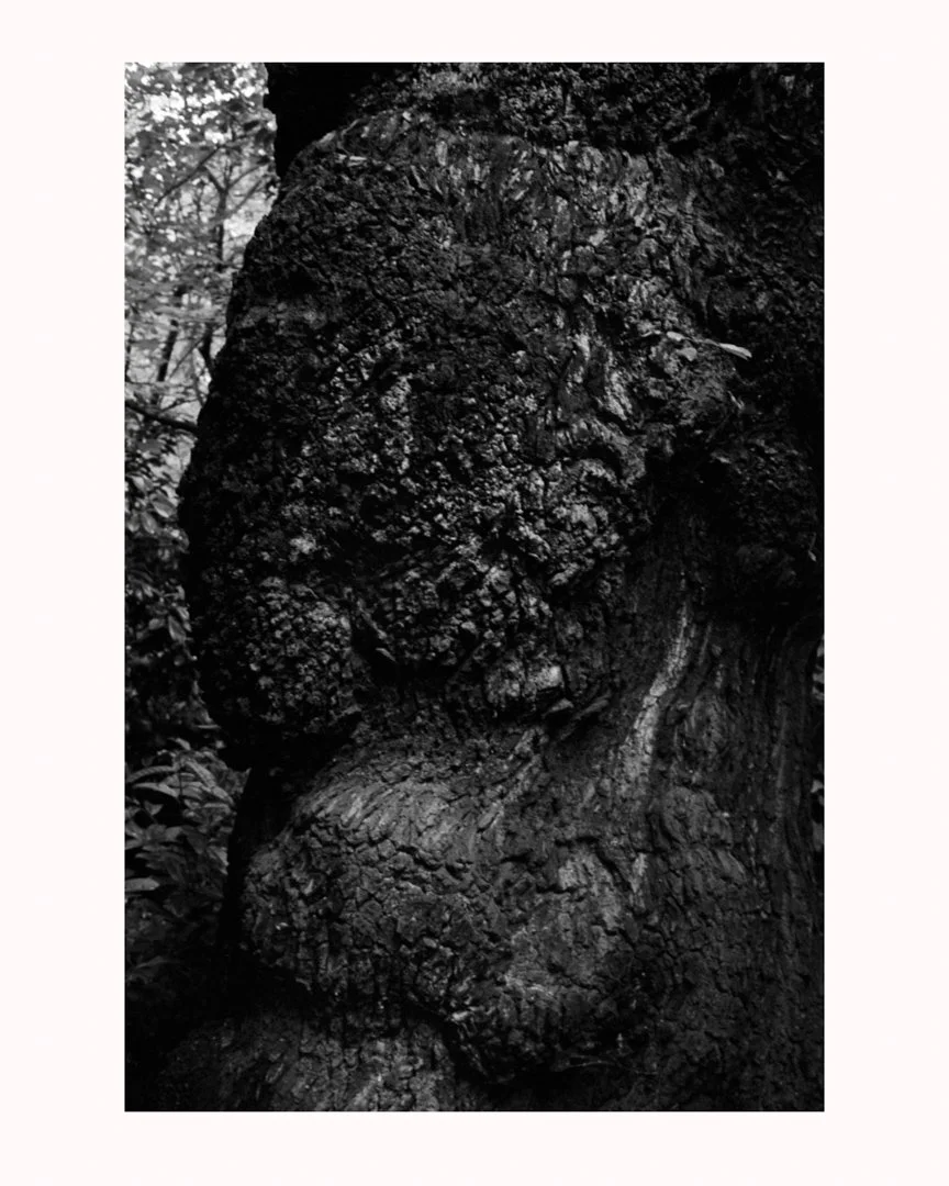 MS-20182808 26r-Edit.jpg