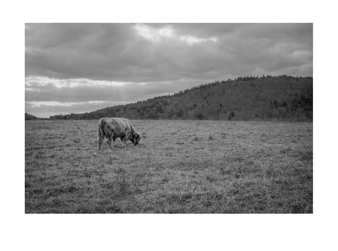 MSScan 02 (3)-Edit.jpg