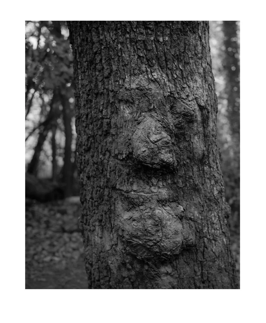 MS-20192403 10r-Edit.jpg