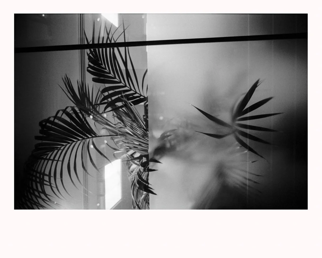 MS-20171011 15r-Edit.jpg