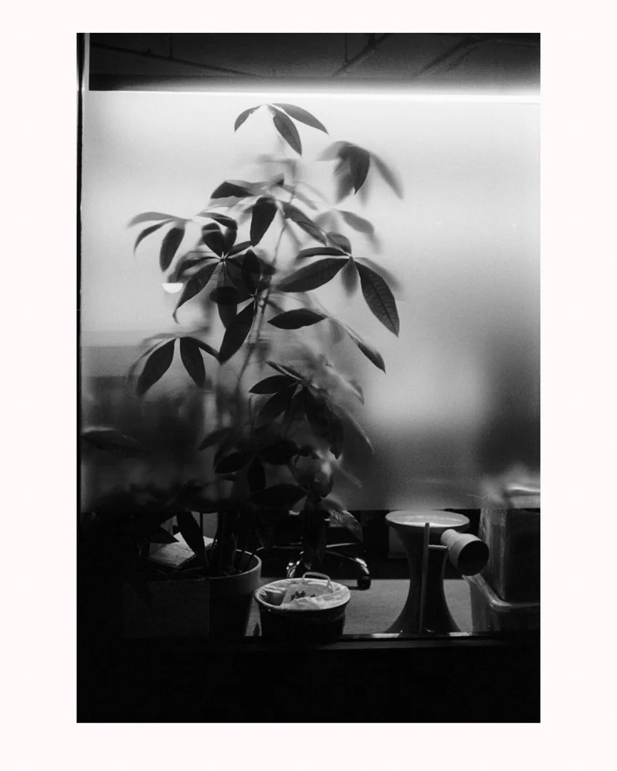 MS-20171012 66r-Edit.jpg