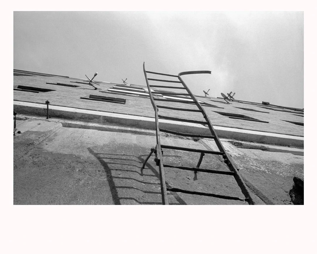 MS-20170109 9a-Edit.jpg