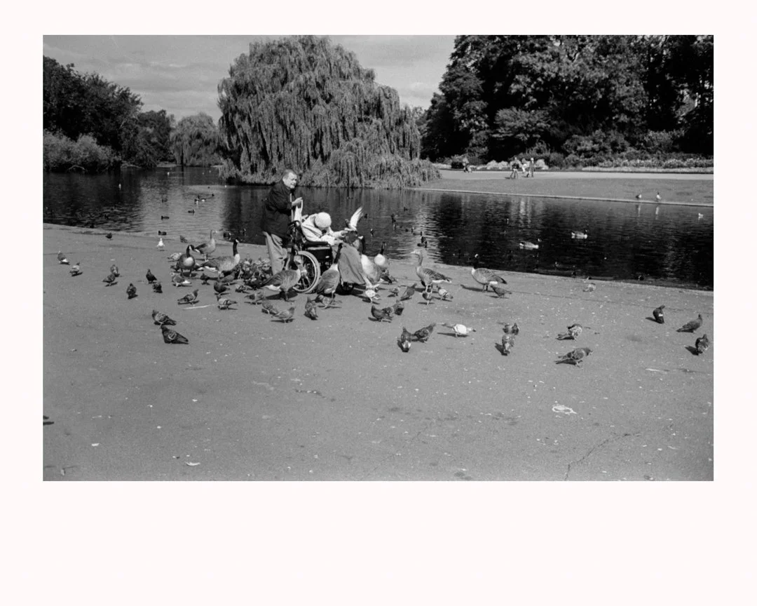 MS-201312109 13 2-Edit.jpg