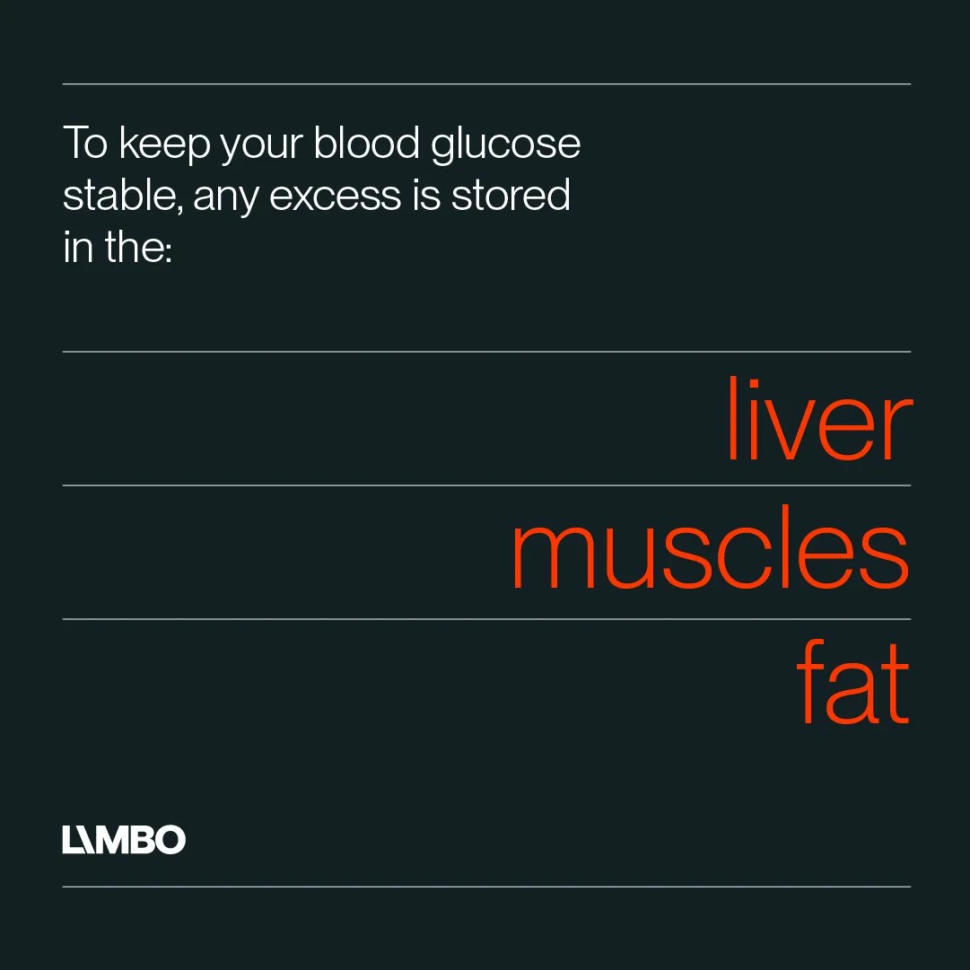 An educational poster explaining that excess blood glucose is stored in the liver, muscles, and fat.