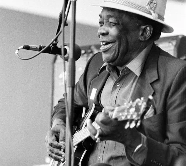 Mister John Lee Hooker, Chicago Blues Festival.