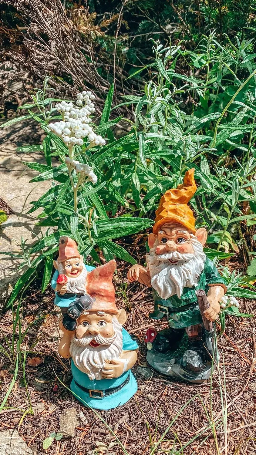 IMG_2509-SilverStarGnomes.jpg