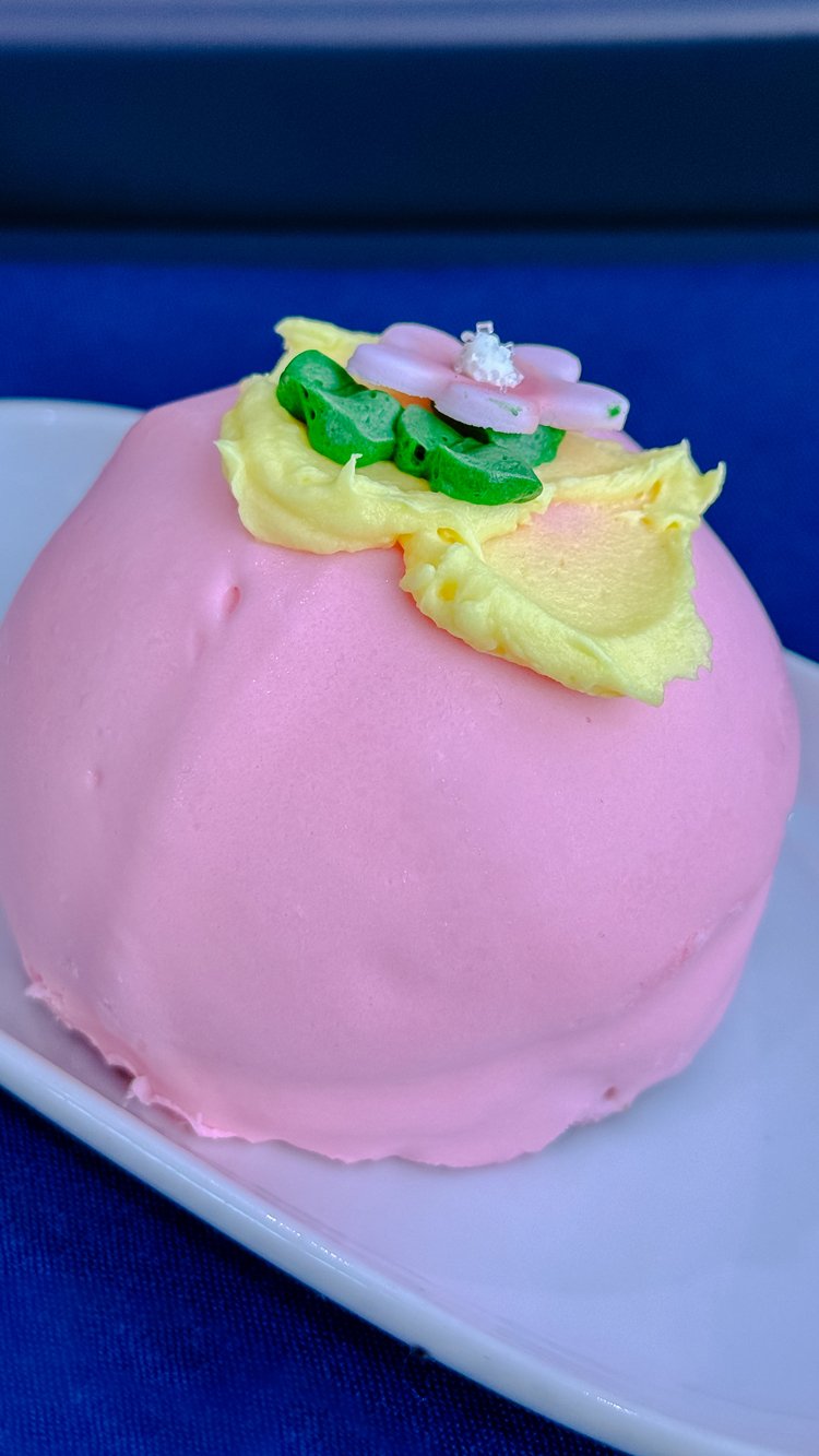 Canyon Spirit Food - Pink Dessert