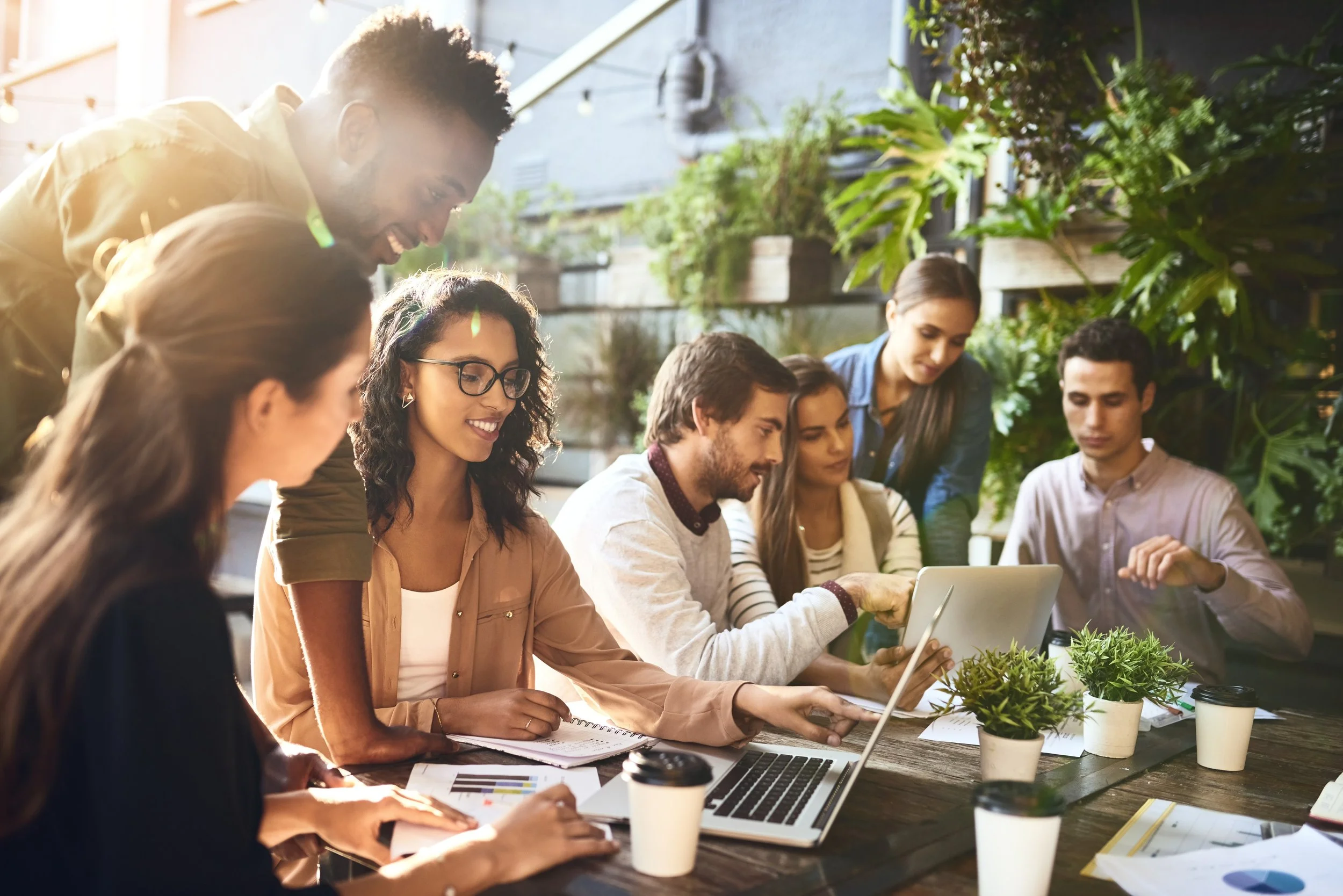 Group of diverse young adults working together in an open, plant-filled office space, some using laptops and taking notes, with coffee cups on the table.