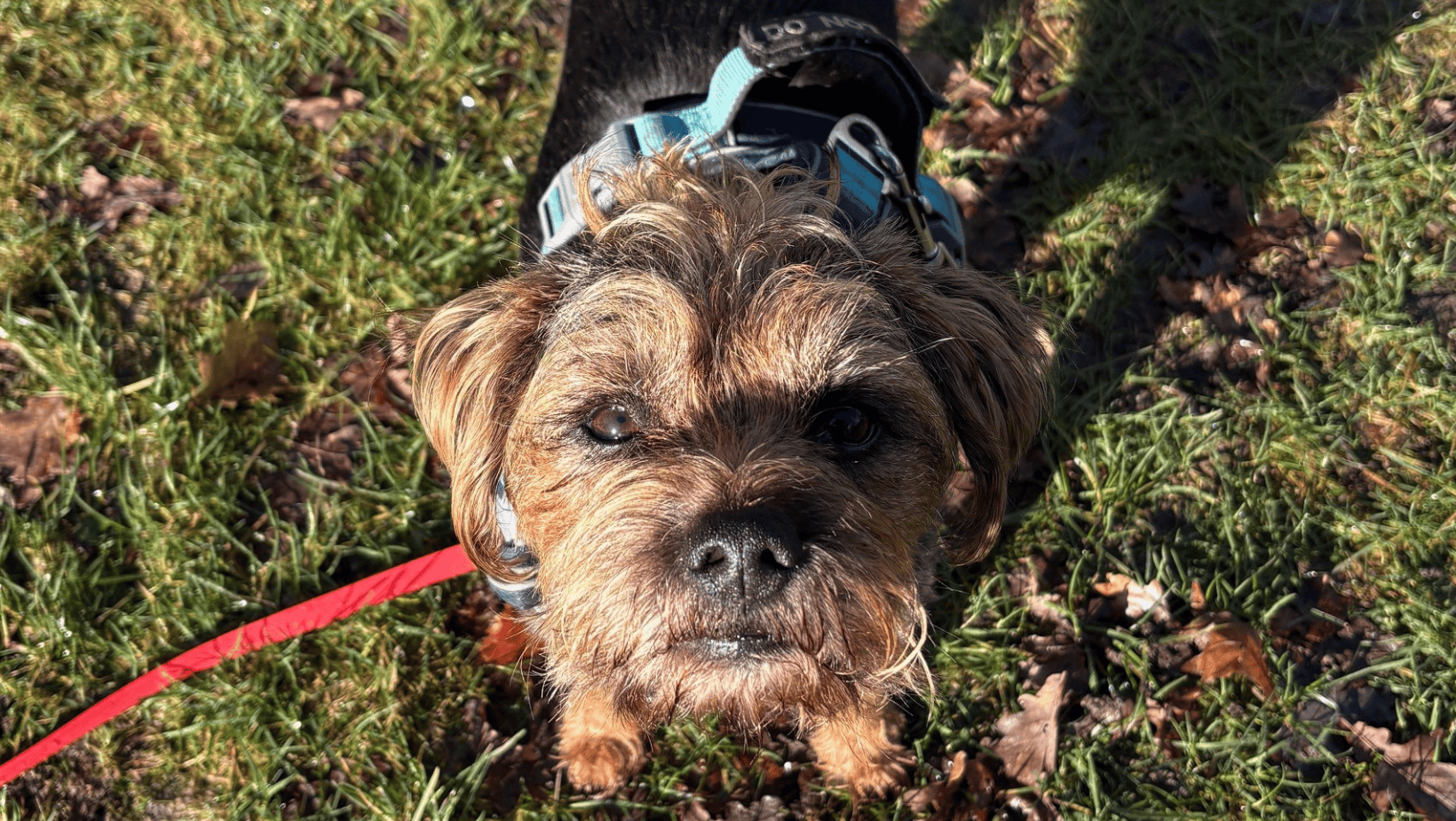 Gut Health Problems Don’t Stay in the Gut