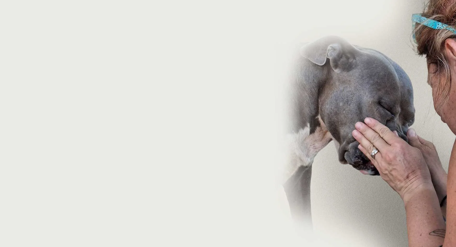 A person gently holding a gray dog's face, with the dog closing its eyes, against a plain background.