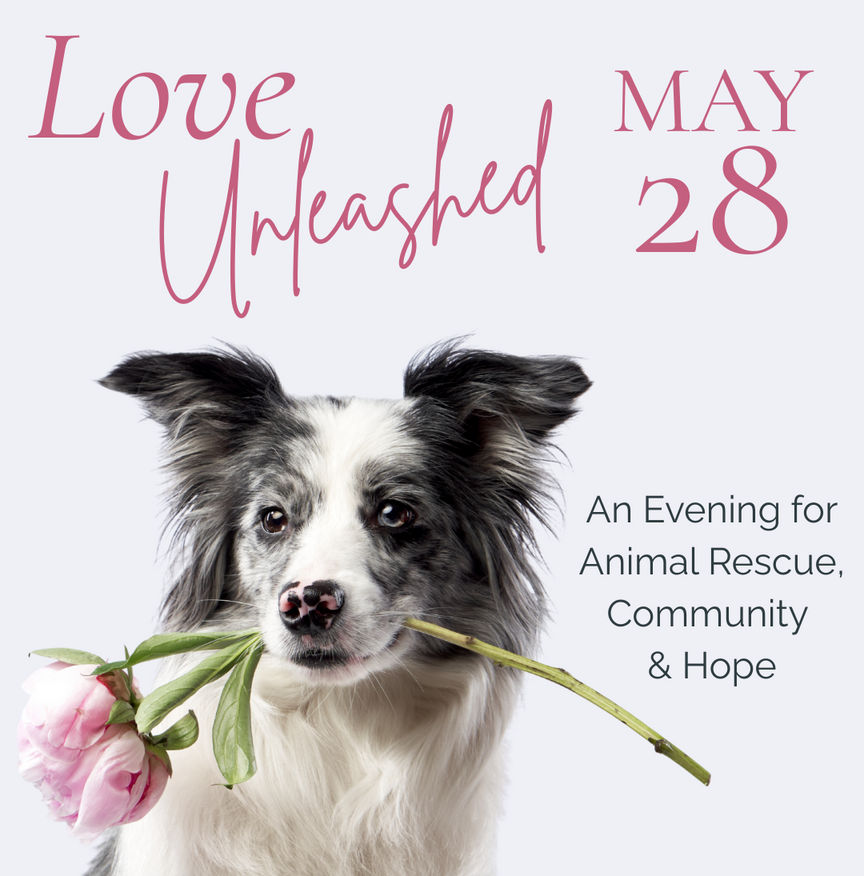 Information about love unleashed event
