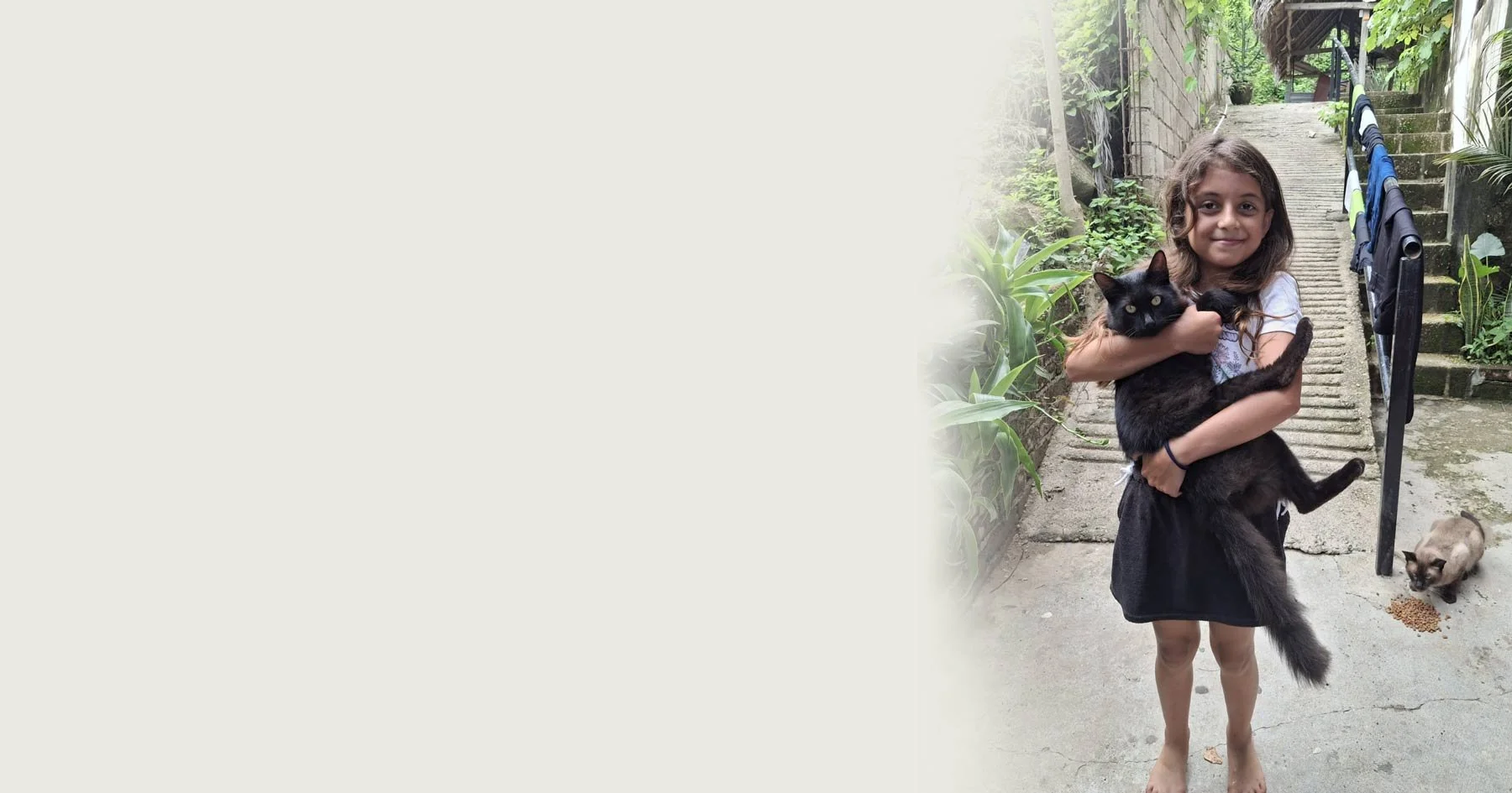 A young girl with long dark hair is standing on an outdoor concrete pathway, holding a large black cat. There is a small Siamese cat nearby on the ground eating dry food. The background shows a set of stairs, plants, and trees.