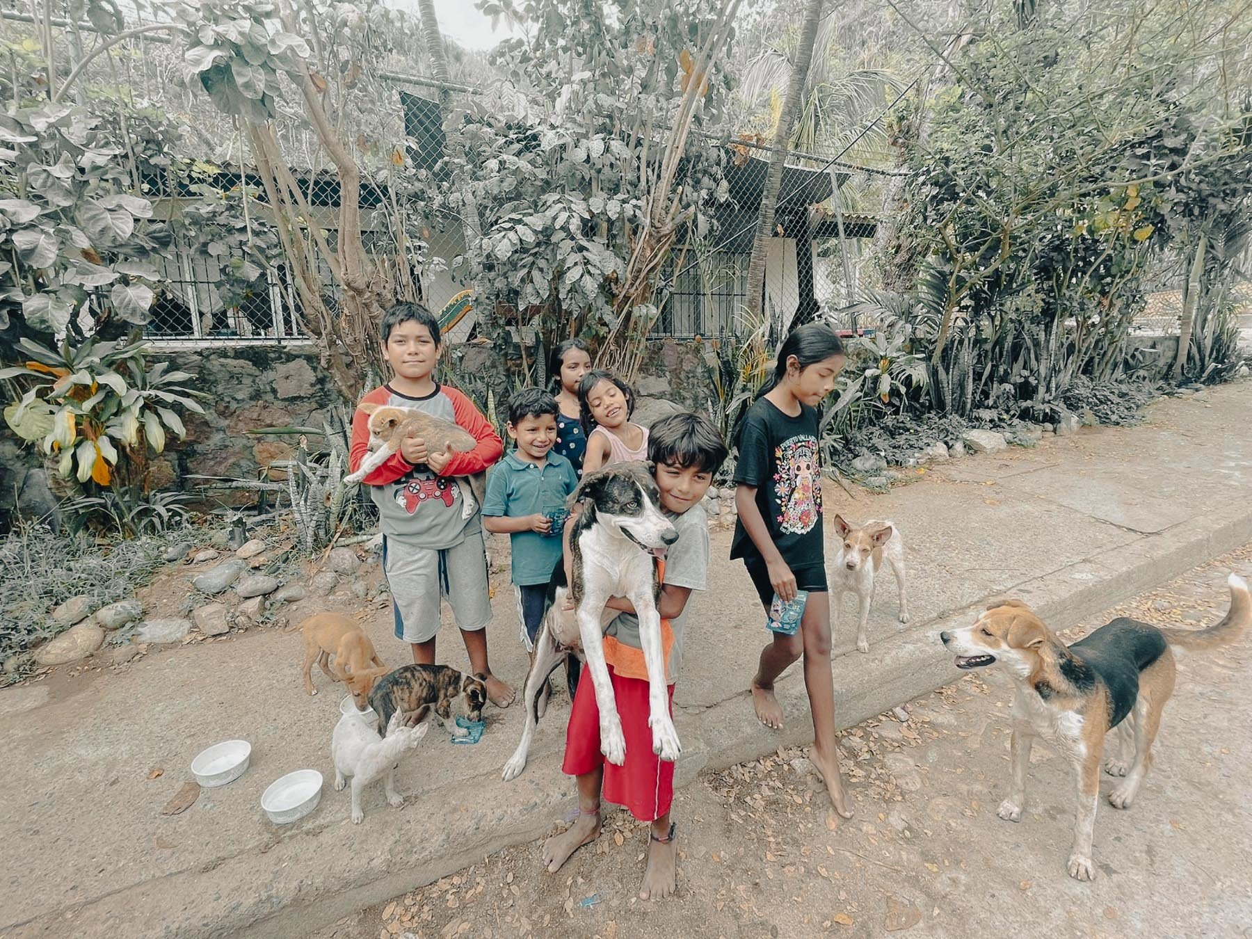 Group of children playing with dogs outdoors on a dirt path with lush greenery and a fence in the background.