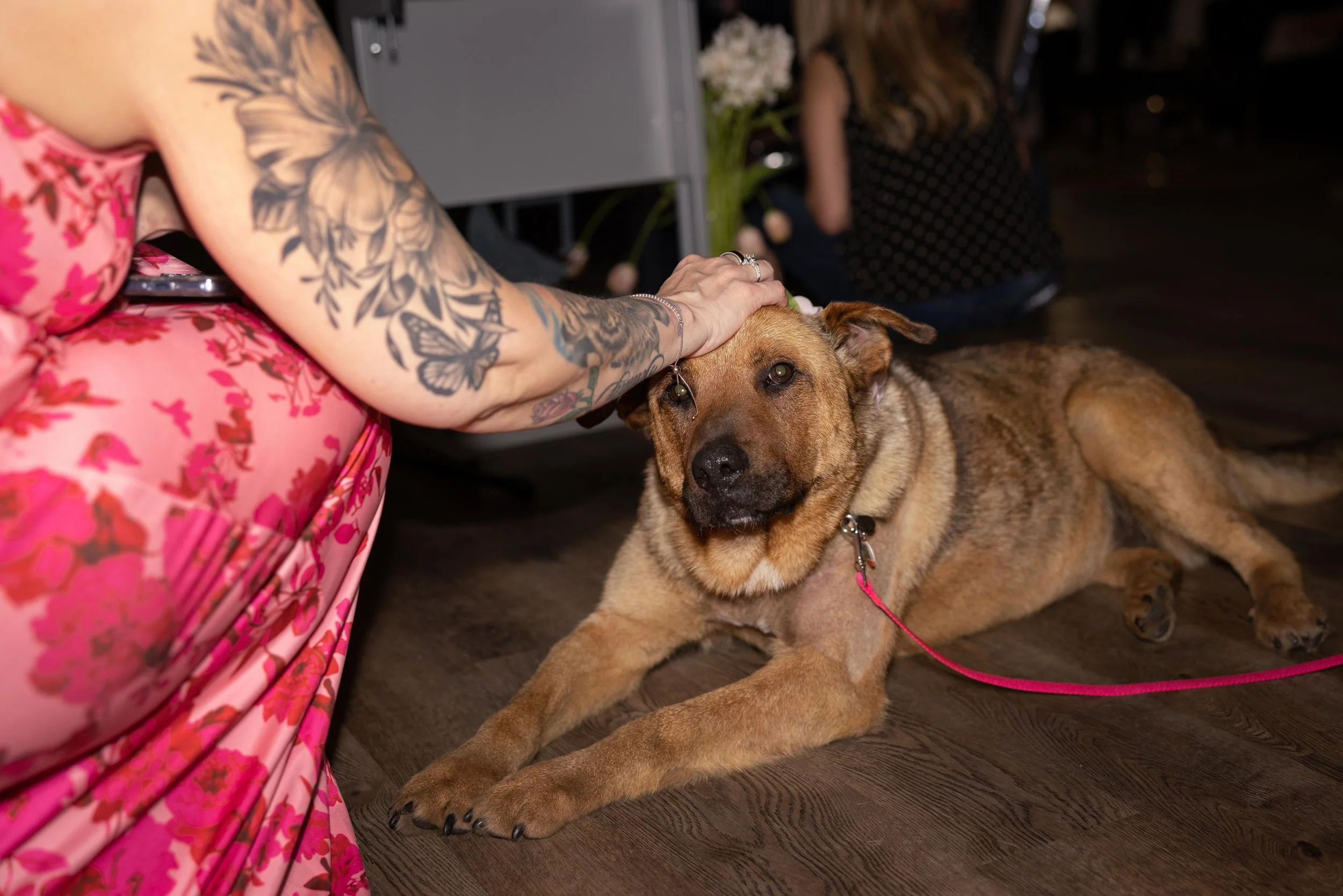 7B2A7837.jpg