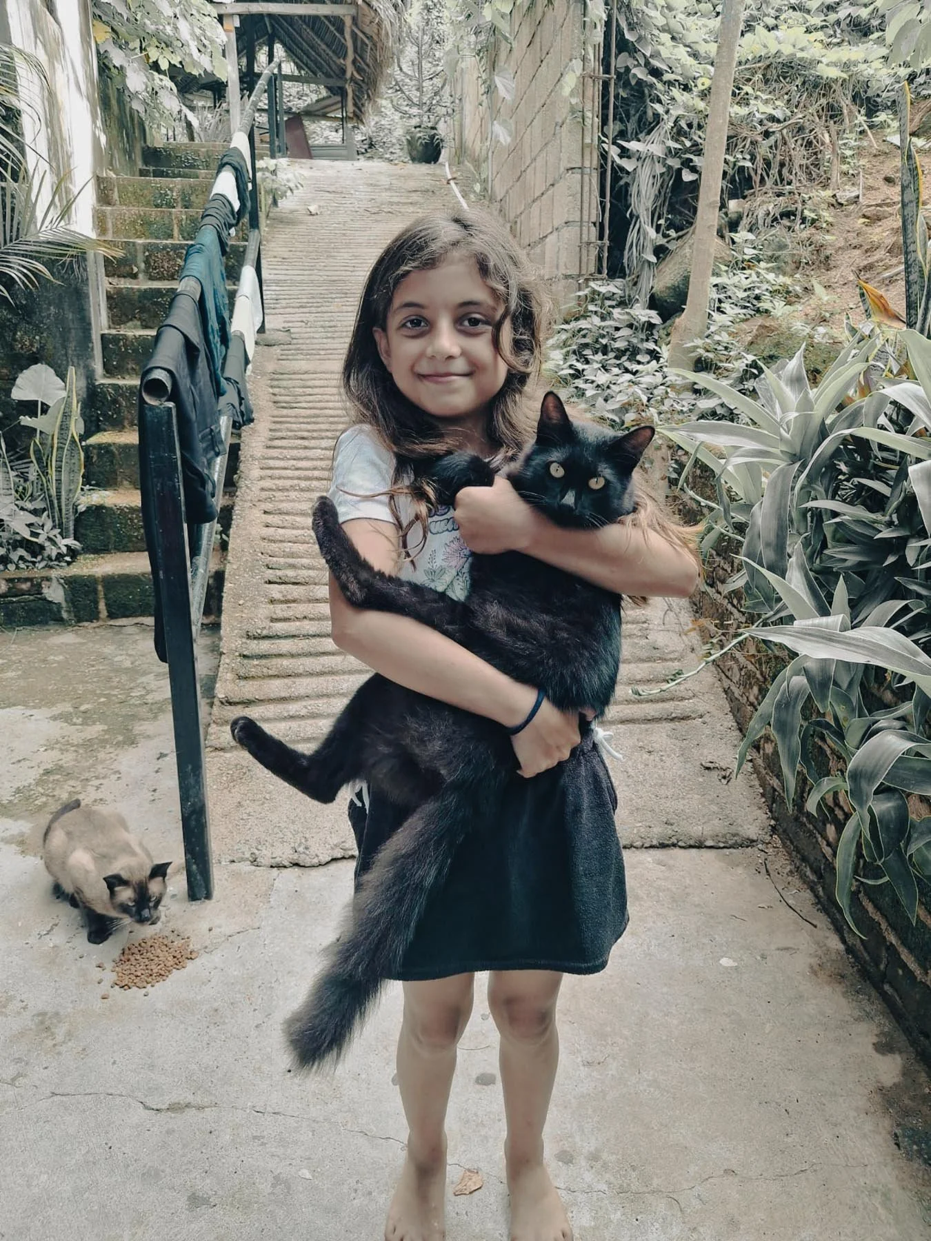 A young girl with long brown hair and a white shirt is holding a large black cat outdoors on a concrete walkway with stairs and plants in the background. There is a Siamese cat eating food on the ground nearby.