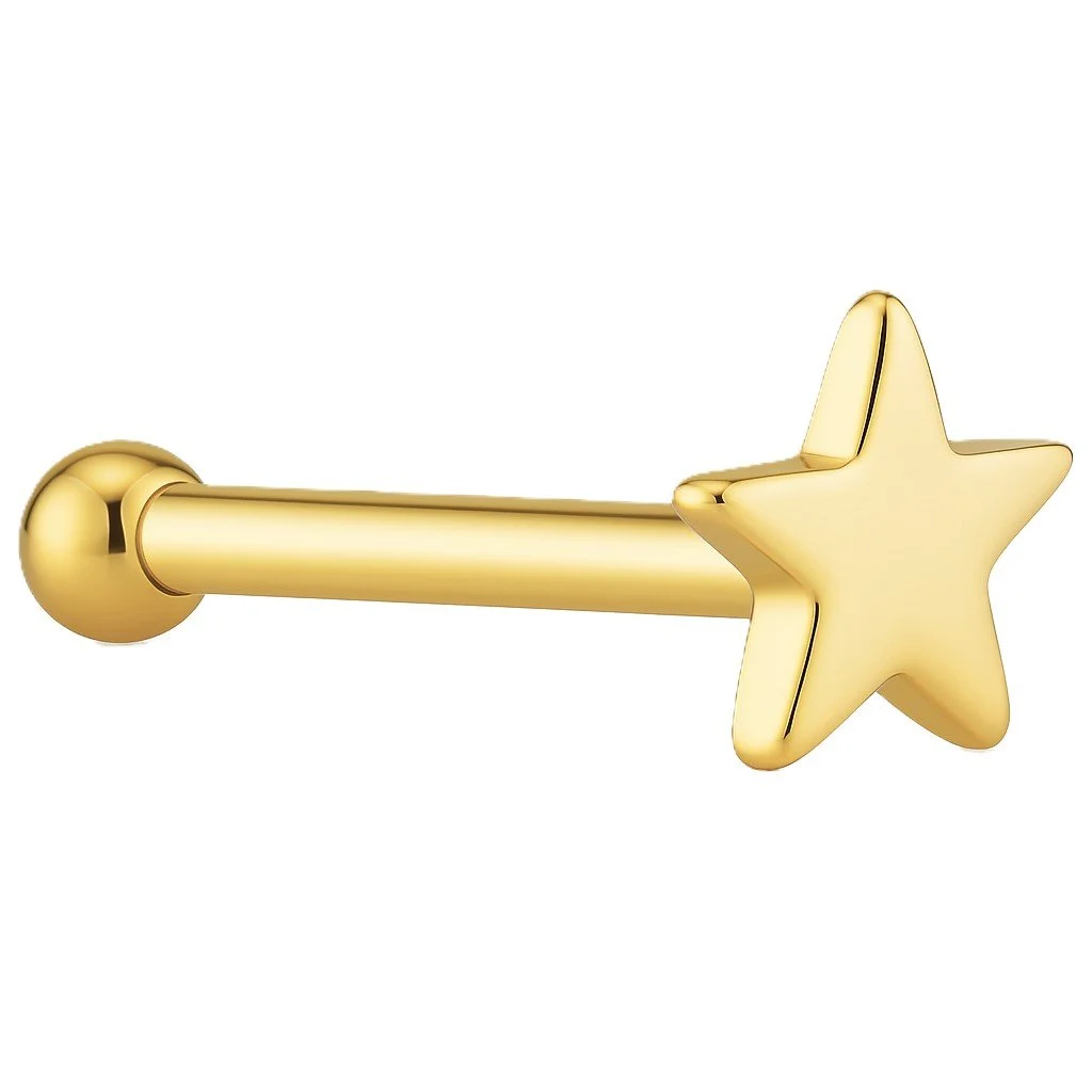 14K Gold High Polish Star Nose Bone Stud