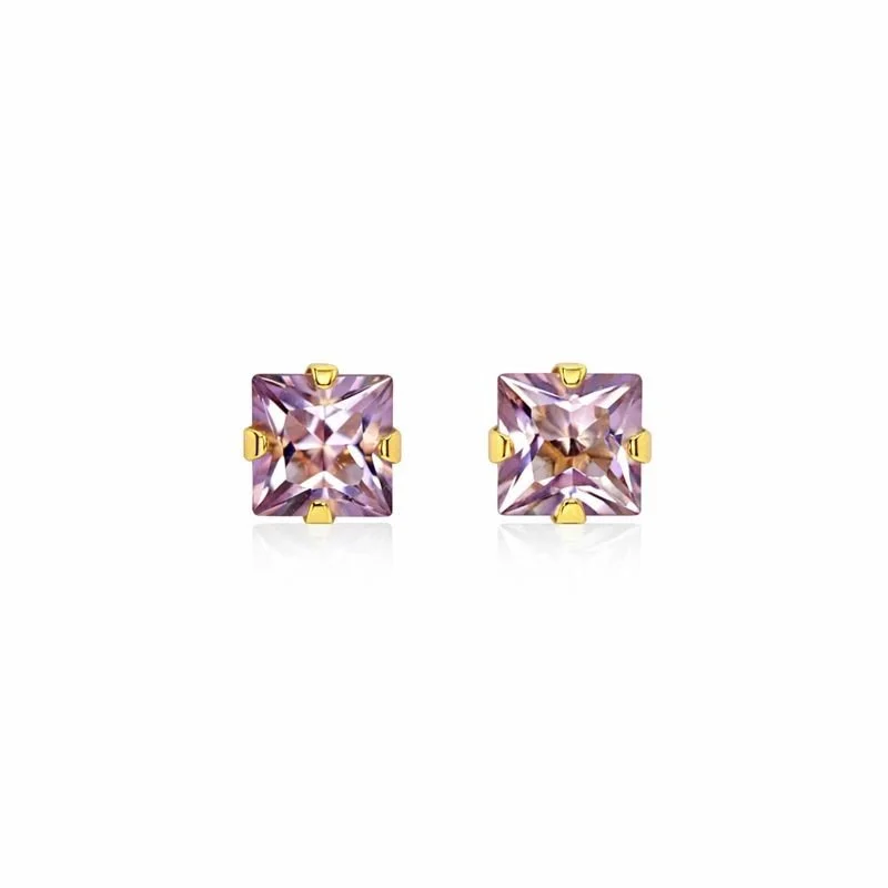 10K Yellow Gold Amethyst Stud Earrings