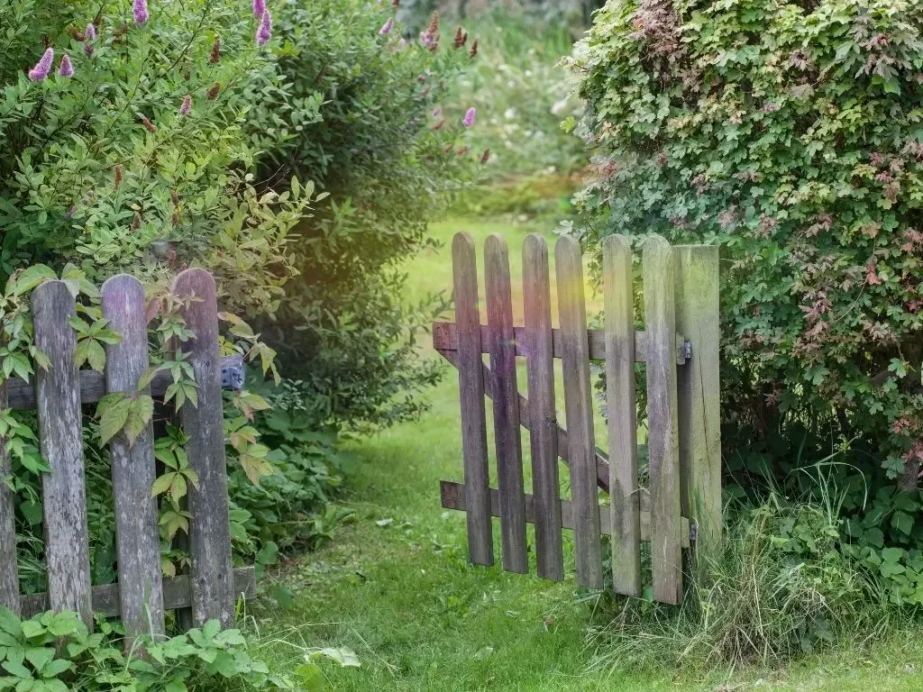 A wooden garden gate standing slightly open, with a path beyond it.
