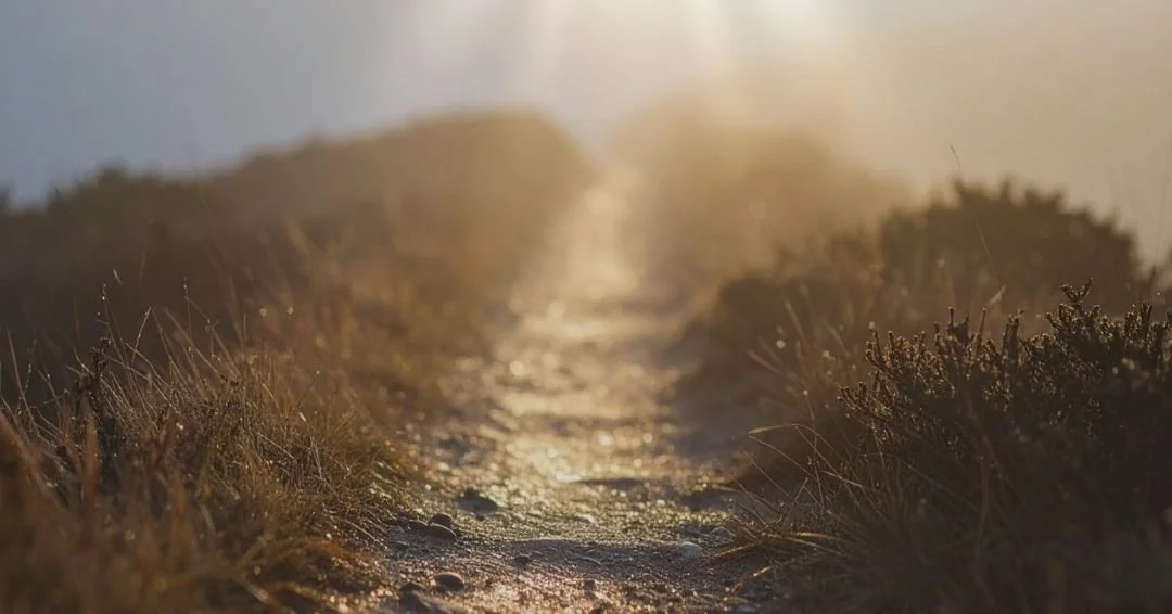 a trail ending into misty fog at sunrise