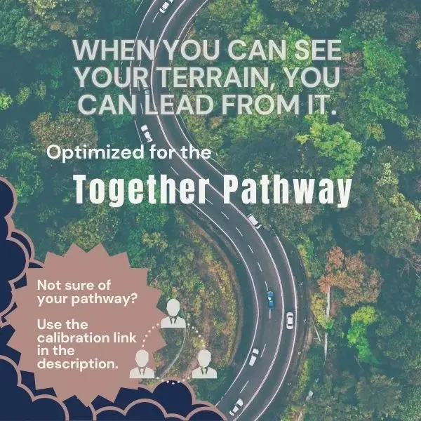Leadership Cartography Pathway Snapshot  for Together Leaders