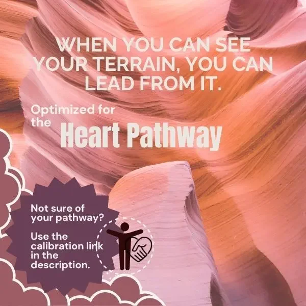 Leadership Cartography Pathway Snapshot for Heart Leaders