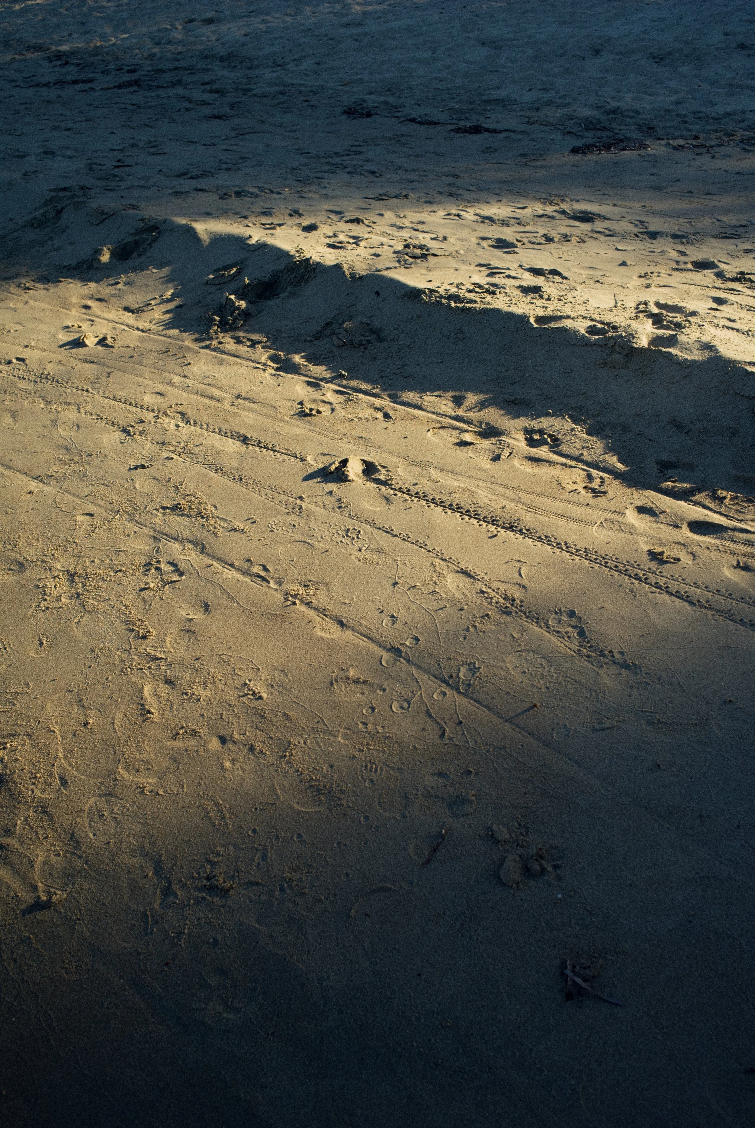 Tertenia 25-09-25 - 06.JPG