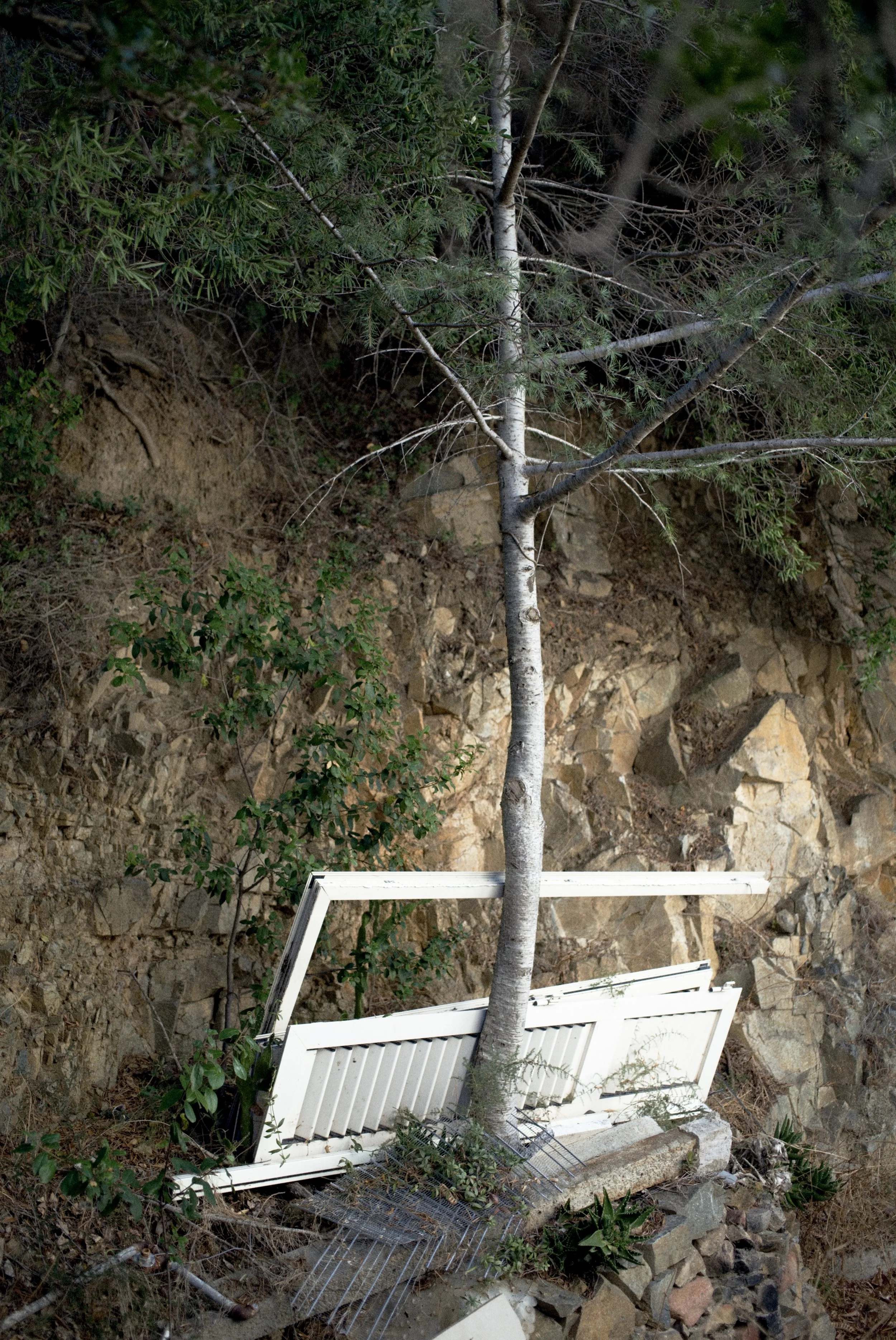 Tertenia 25-09-25 - 00.04 .jpg