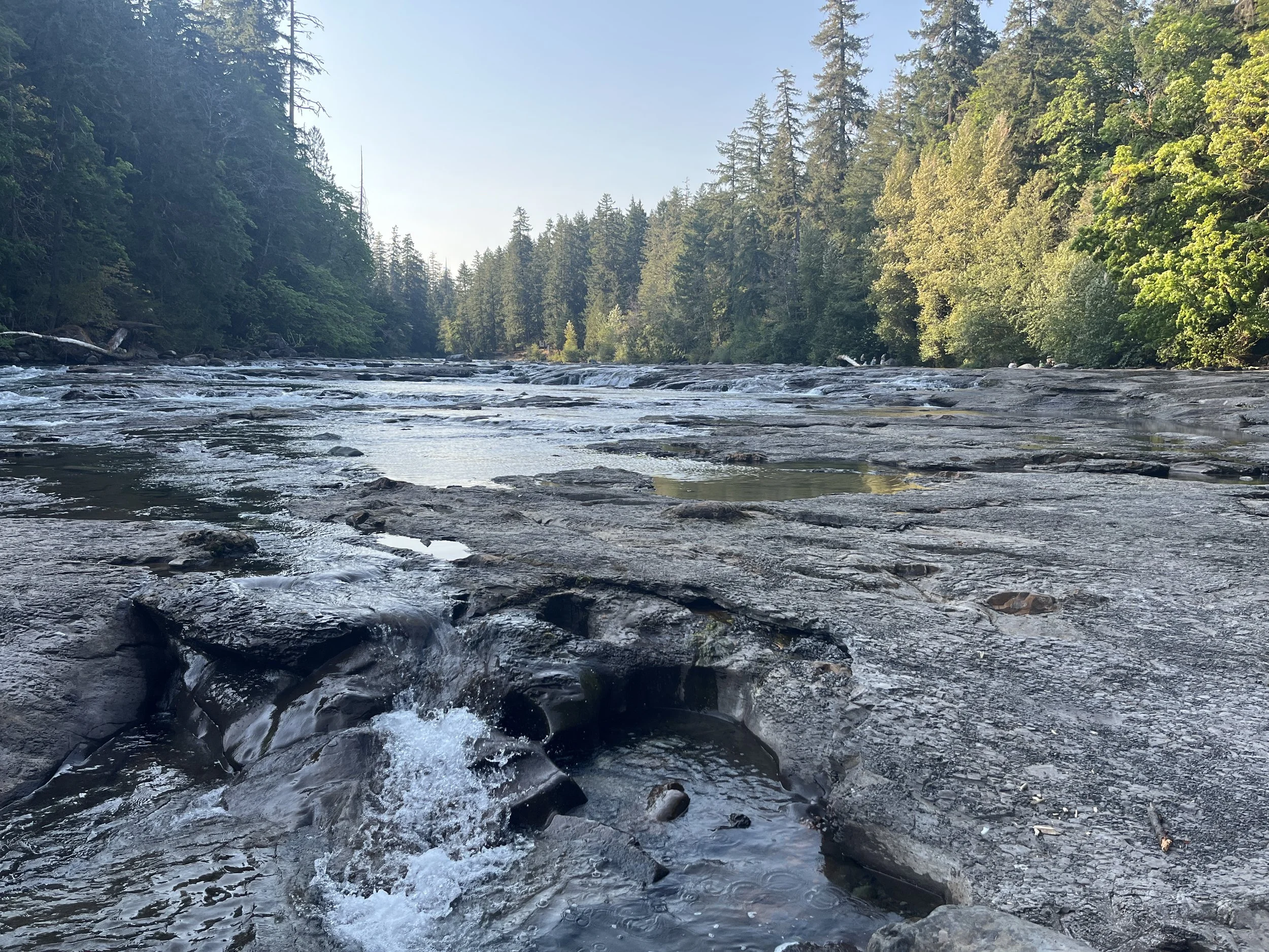 10 Stops to Make in Port Alberni Before Heading to Tofino &amp; Ucluelet