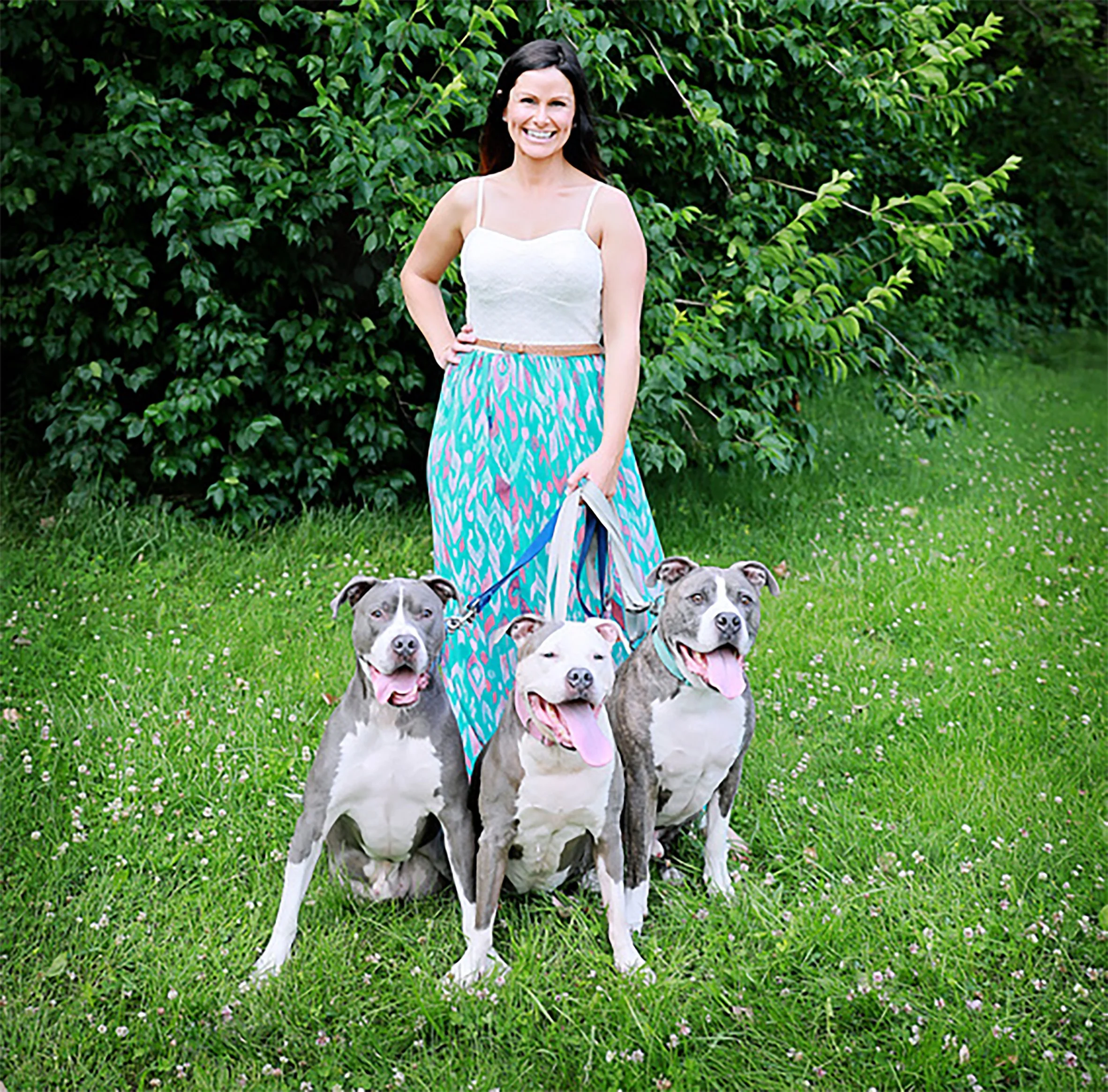 A woman smiling outdoors on grass with three pitbull dogs on leashes, with lush green bushes in the background.