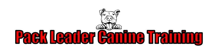Pack Leader Canine Training