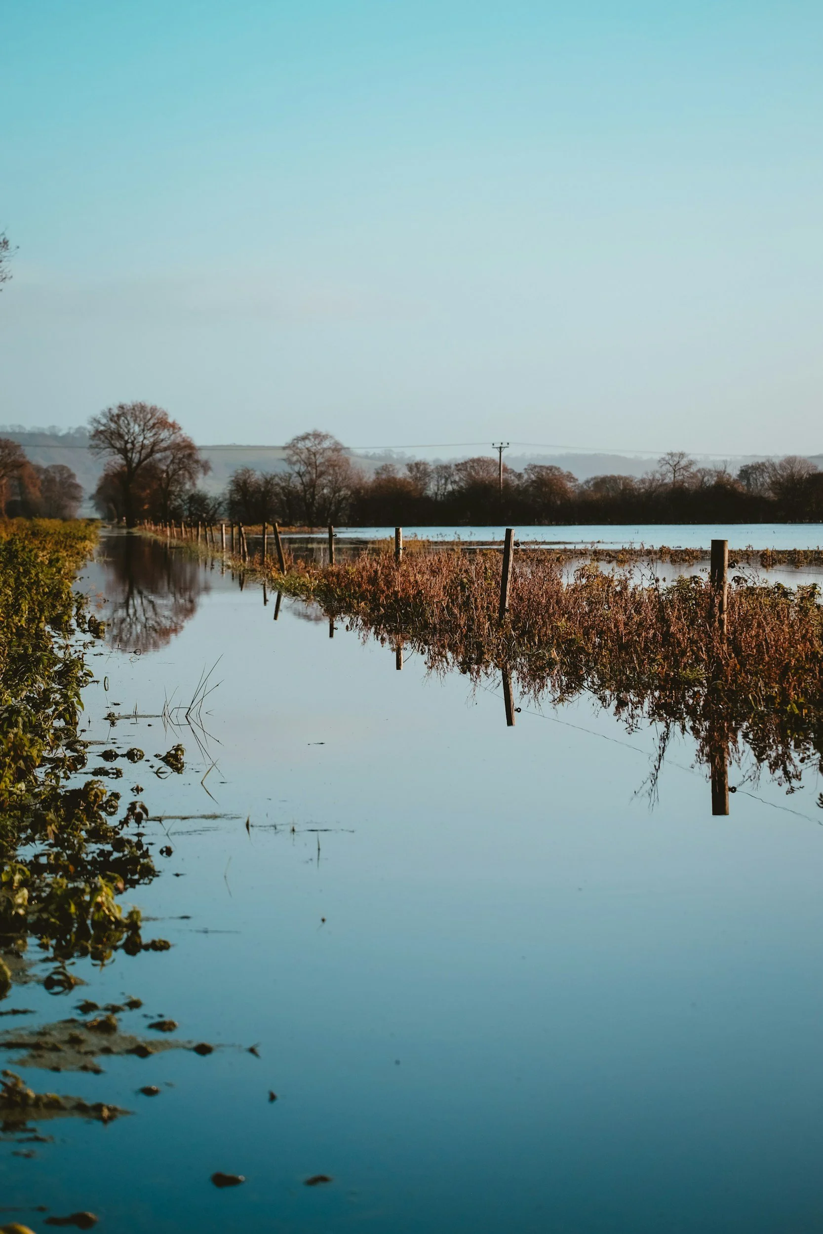 How to Manage a Waterlogged GAA Pitch: A Groundskeeper's Guide