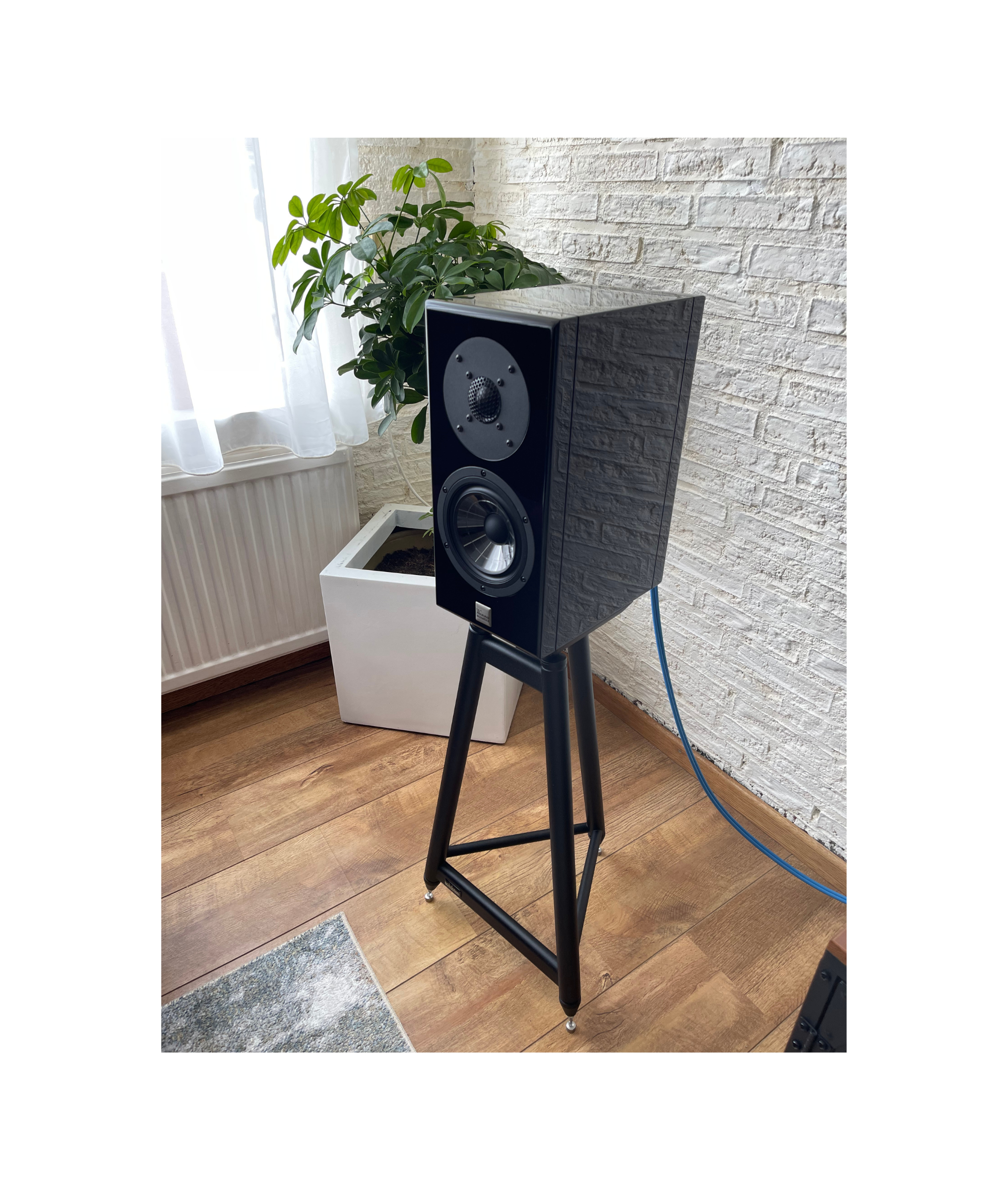 Vienna Acoustics Haydn SE