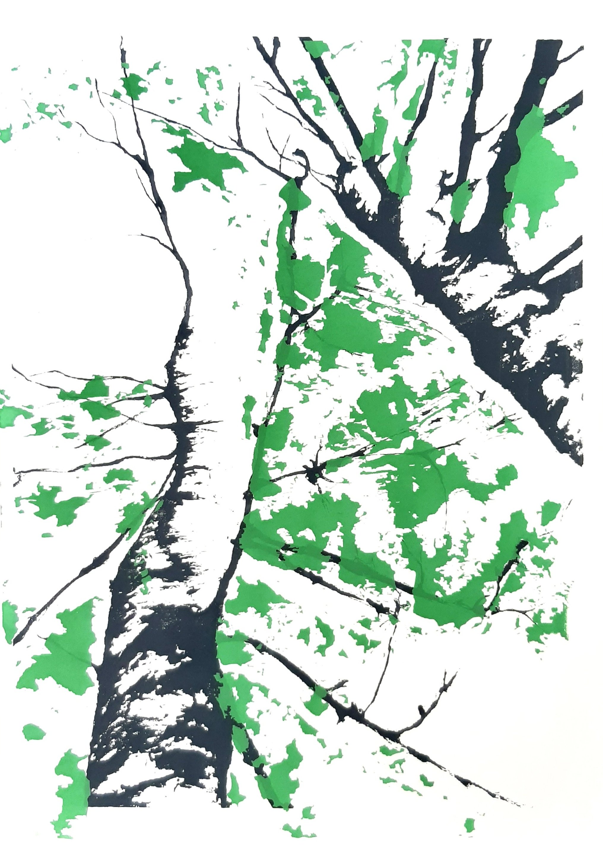 Farbiger Siebdruck eines Birkenstamms aus der Untersicht, mit grünen Blattformen auf hellem Grund und reduzierter grafischer Anmutung.
