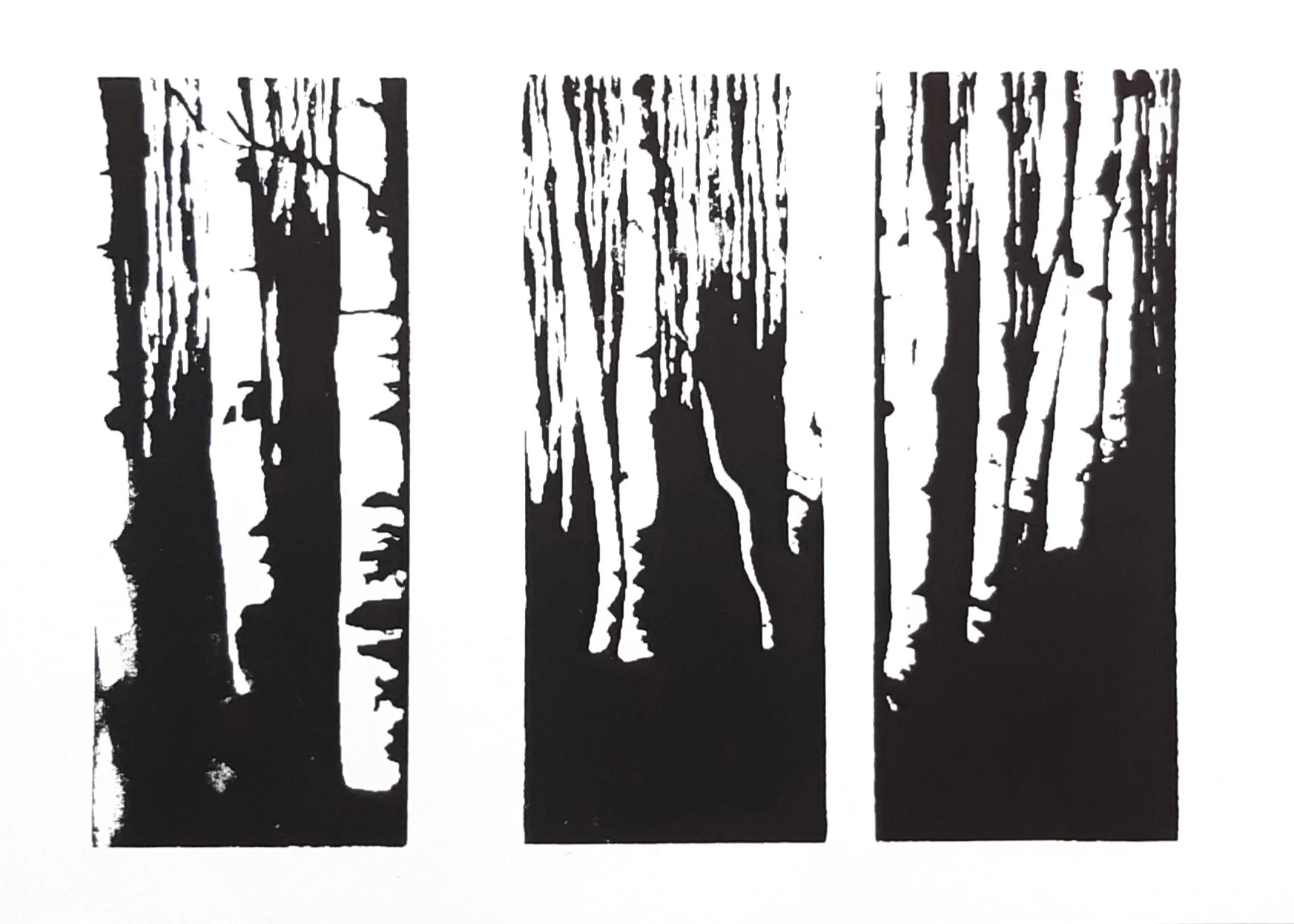 Dreiteiliger schwarz-weißer Siebdruck mit abstrahierten Birkenstämmen, vertikal angelegt und stark kontrastiert.