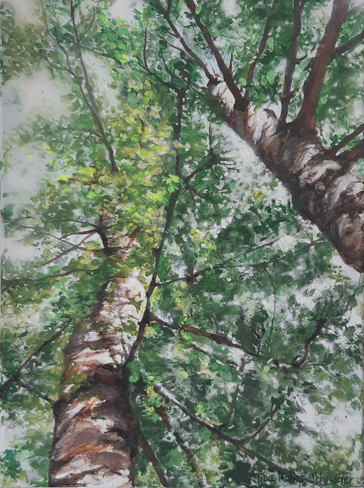 Birkenrausch * 40 x 30 cm * Auftragsarbeit