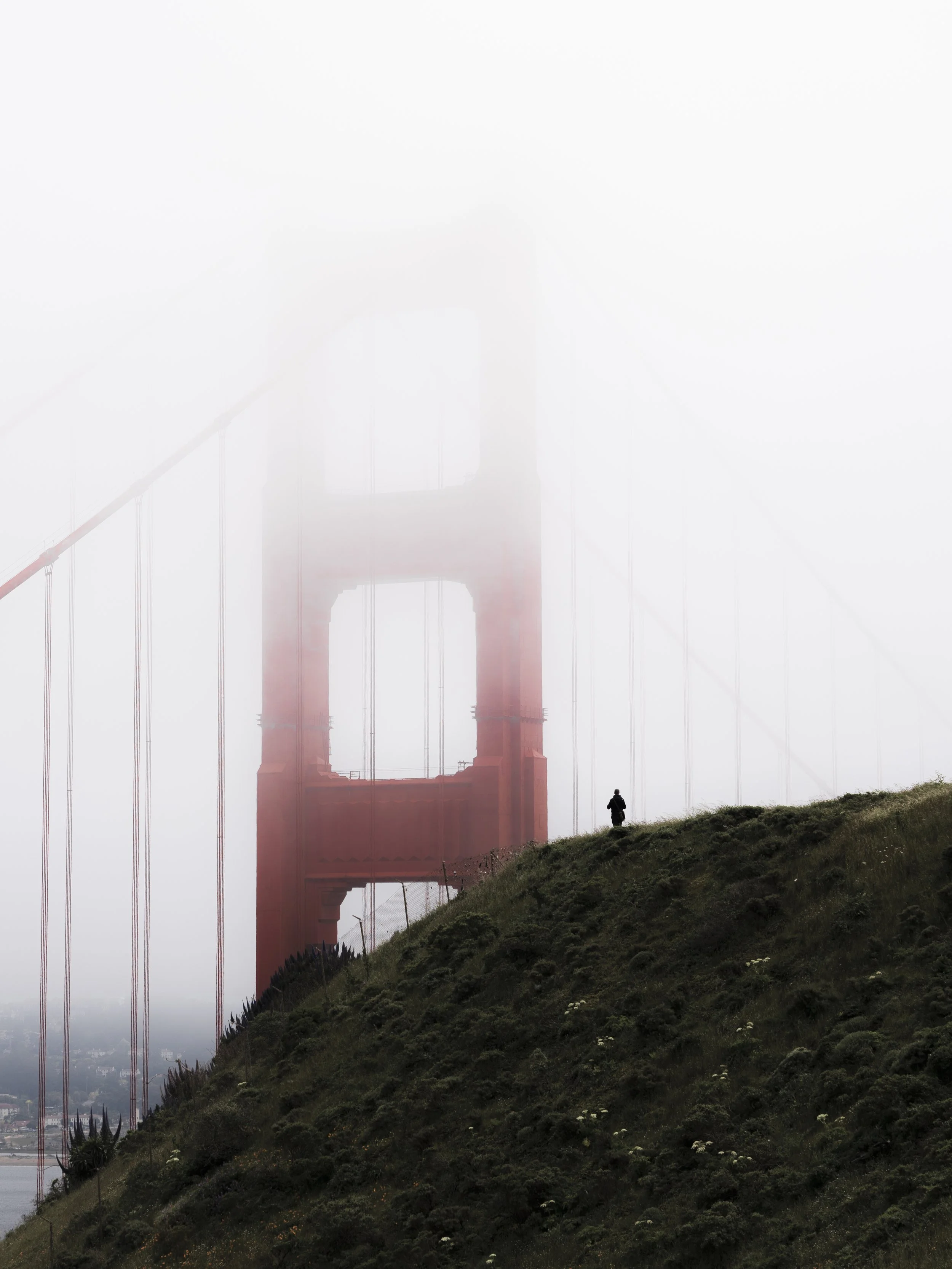 California 2021 and 2022-13.jpg