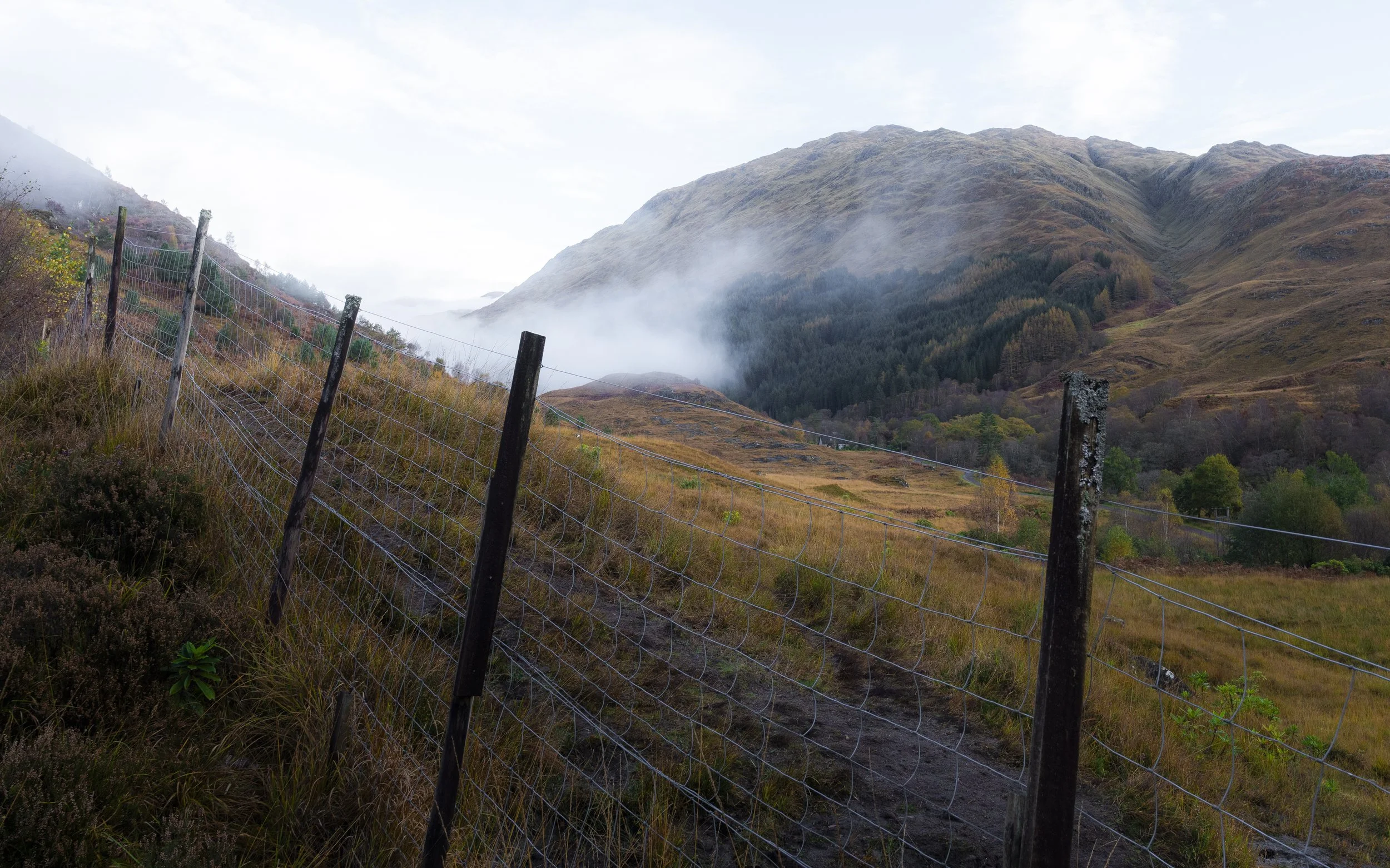 Scotland 2025-11.jpg